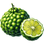 Bergamot